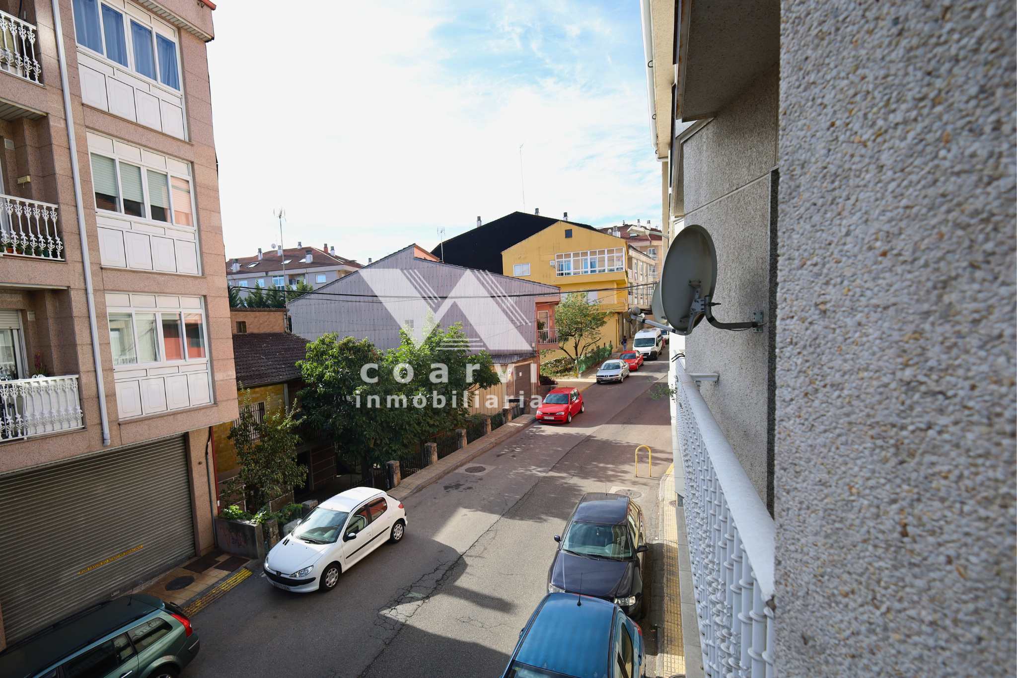 Tomás Rodríguez Punxin - Miguel