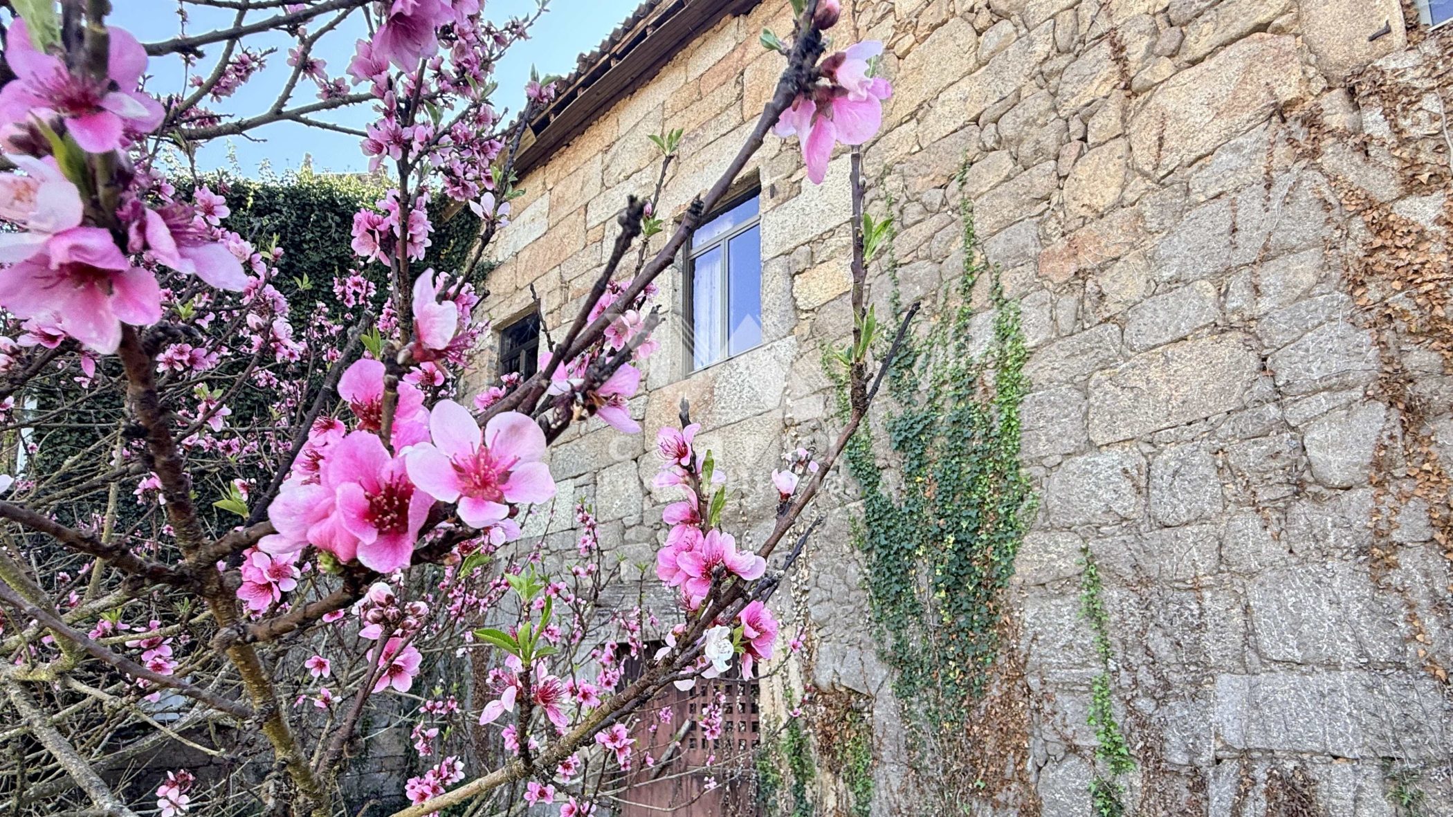 CASA-VENTA-TERRENO-VELLE-OURENSE (8)