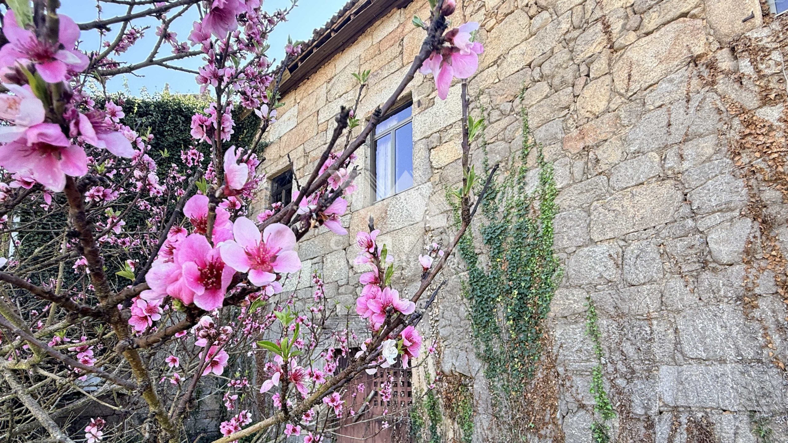 CASA-VENTA-TERRENO-VELLE-OURENSE (8)